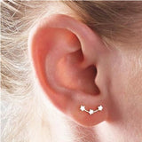 New Crystal Flower Drop Earrings for Women Fashion Jewelry